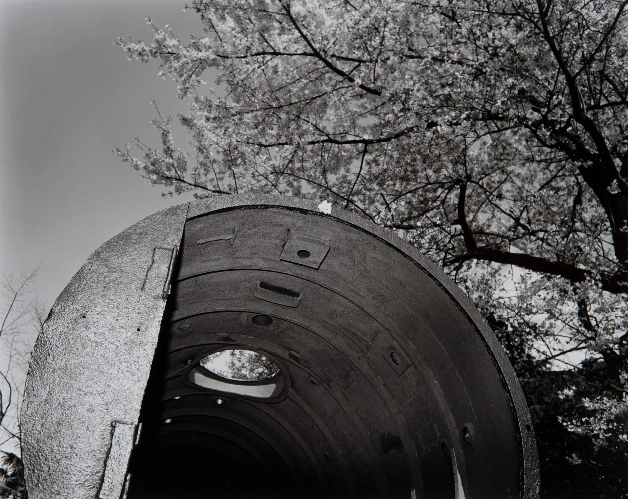 yasukuni-no7_1993_49